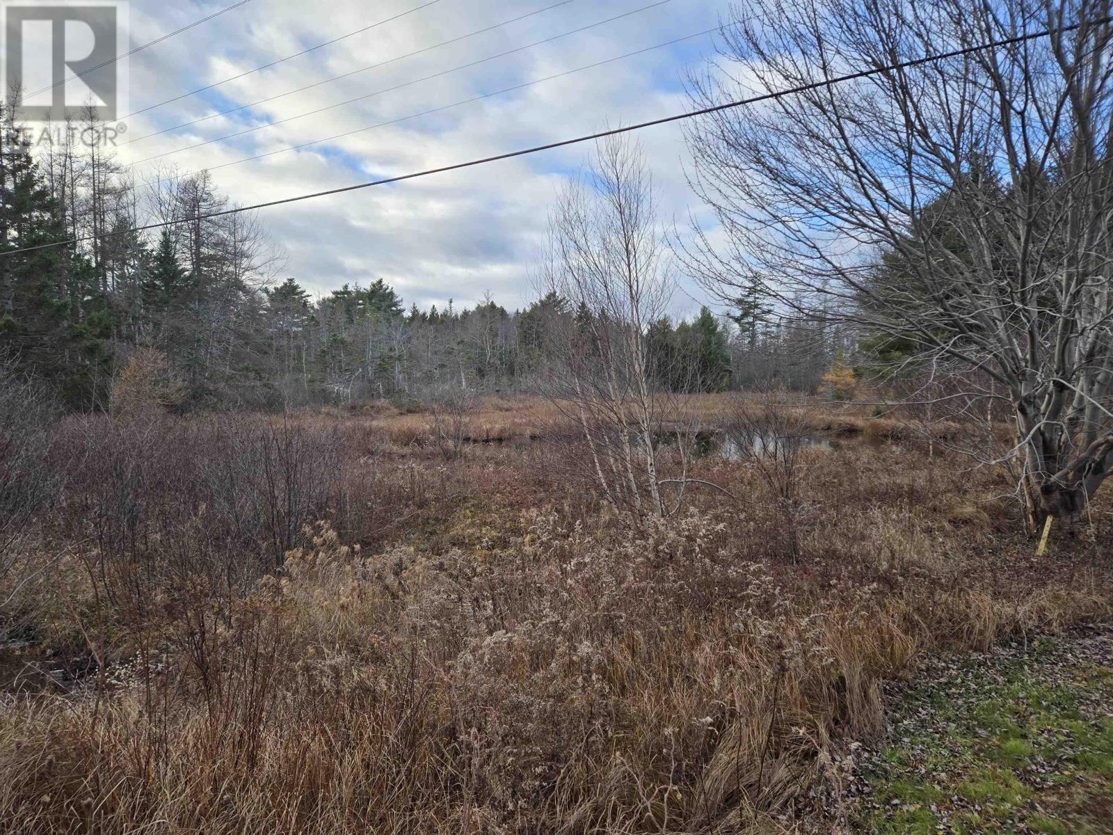 Lot P-2 Mount Pleasant Road, Mount Pleasant, Nova Scotia  B0R 1G0 - Photo 5 - 202600747