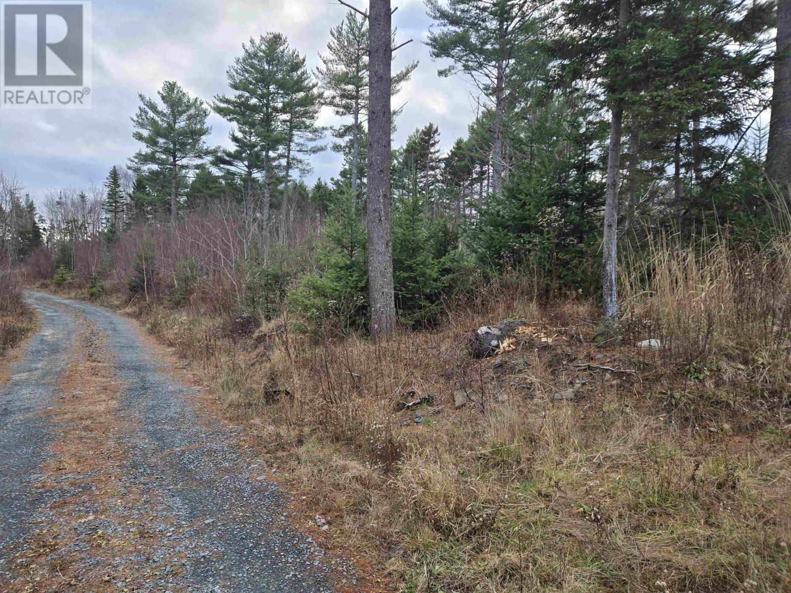 Lot P-1 Baker Road, Mount Pleasant, Nova Scotia  B0R 1G0 - Photo 7 - 202600752