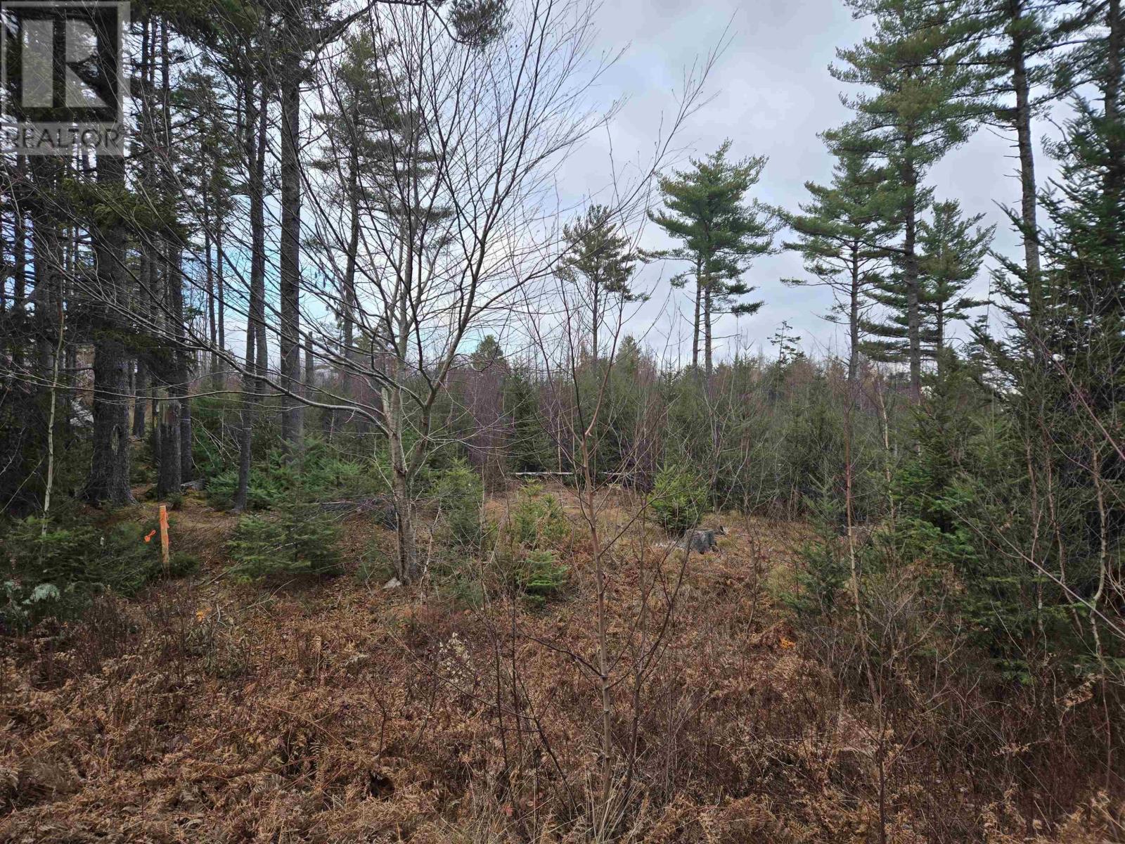 Lot P-1 Baker Road, Mount Pleasant, Nova Scotia  B0R 1G0 - Photo 4 - 202600752