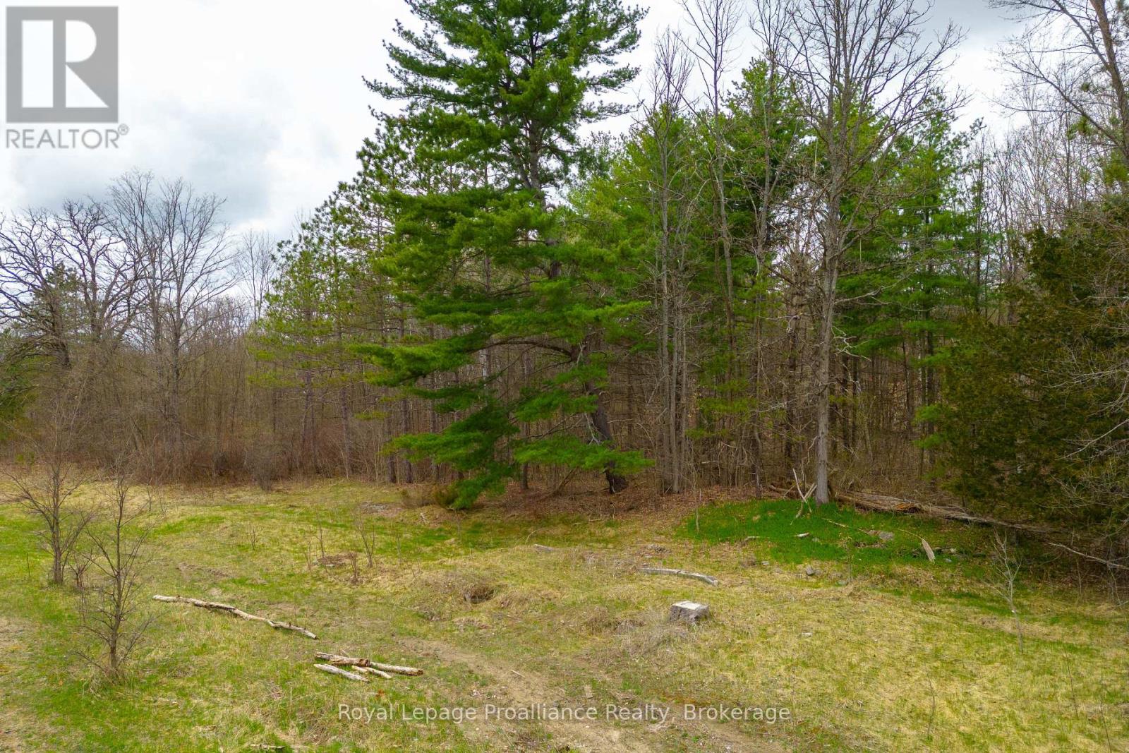 29200 Highway 7, Central Frontenac, Ontario  K0H 1B0 - Photo 28 - X13643332