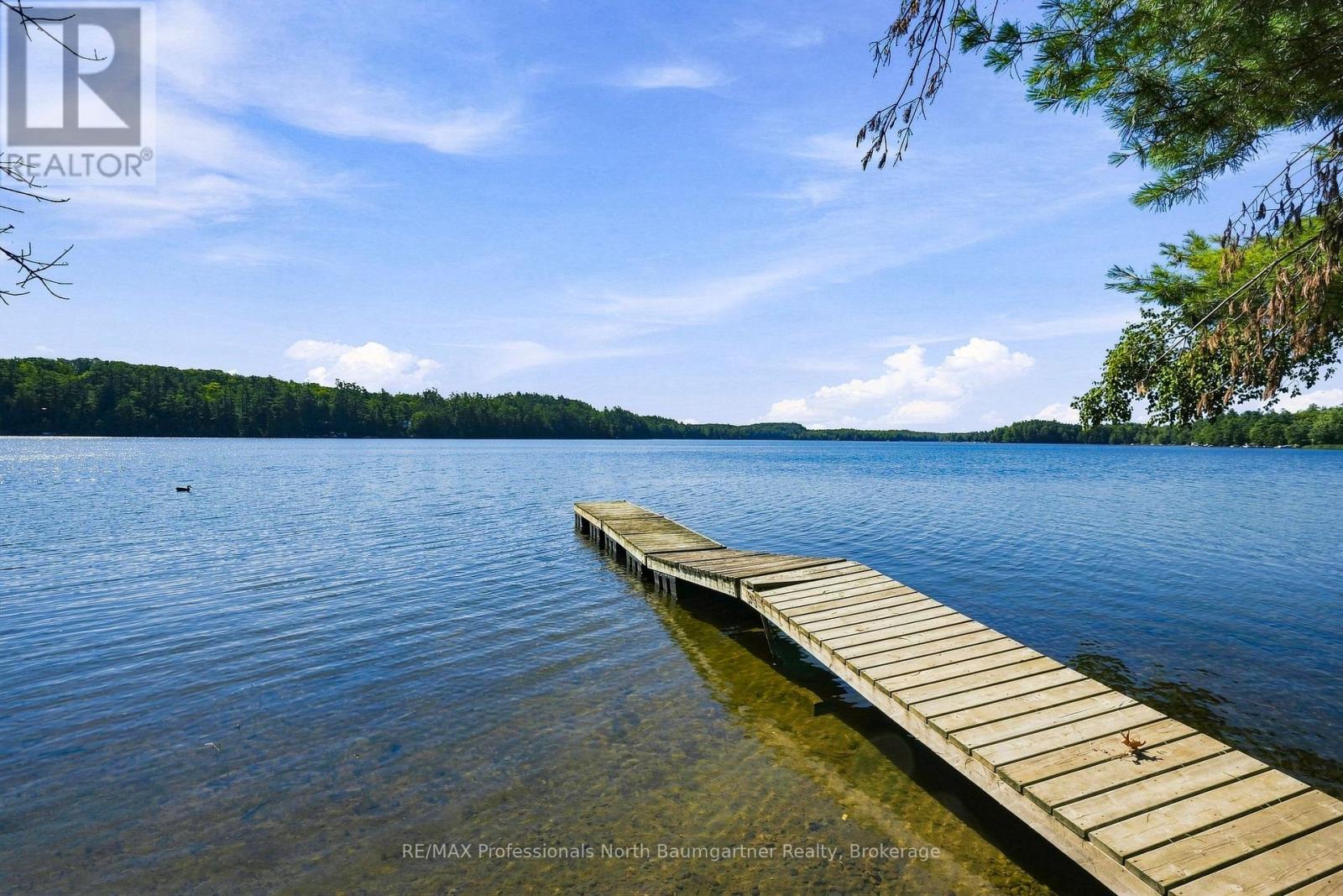 8966 Highway 35, Minden Hills, Ontario  K0M 2L1 - Photo 42 - X13643936