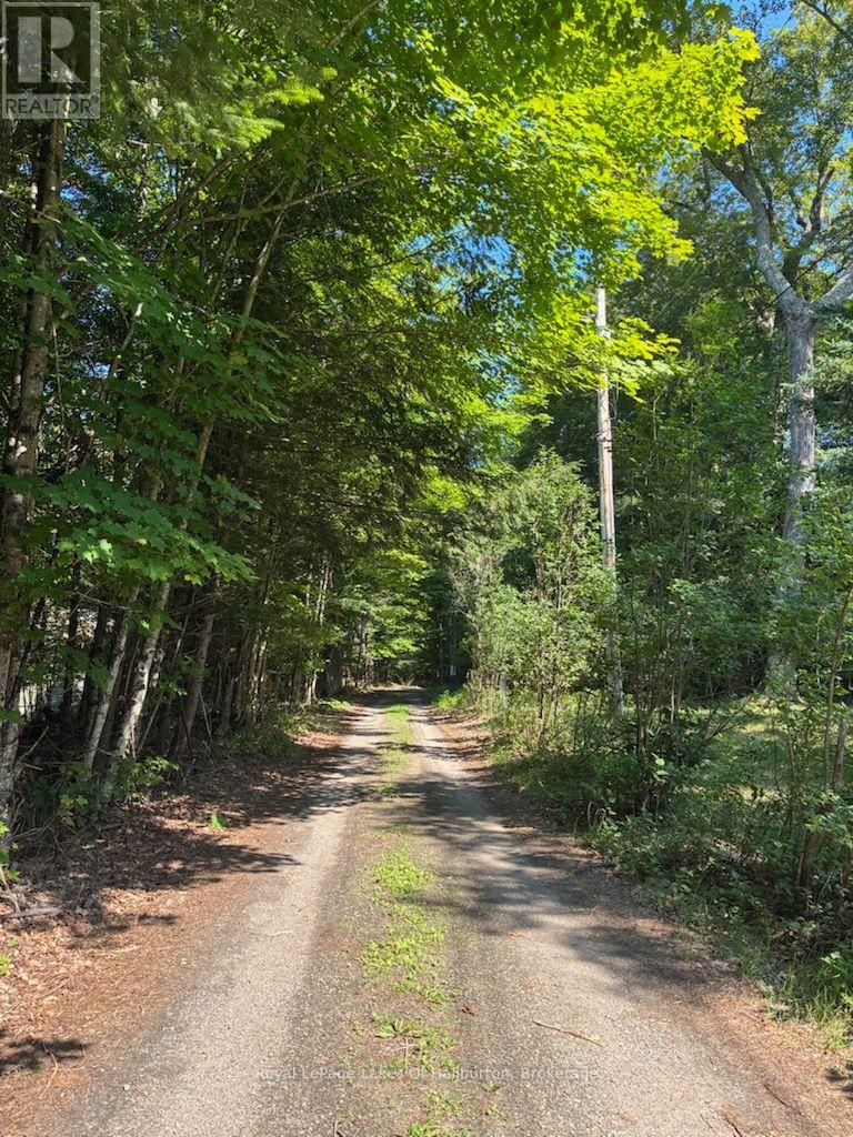 1046 Placid Lane, Algonquin Highlands, Ontario  K0M 1S0 - Photo 31 - X13644056