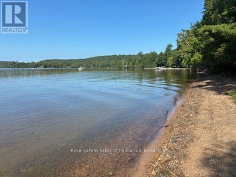 1046 Placid Lane, Algonquin Highlands, Ontario  K0M 1S0 - Photo 4 - X13644056
