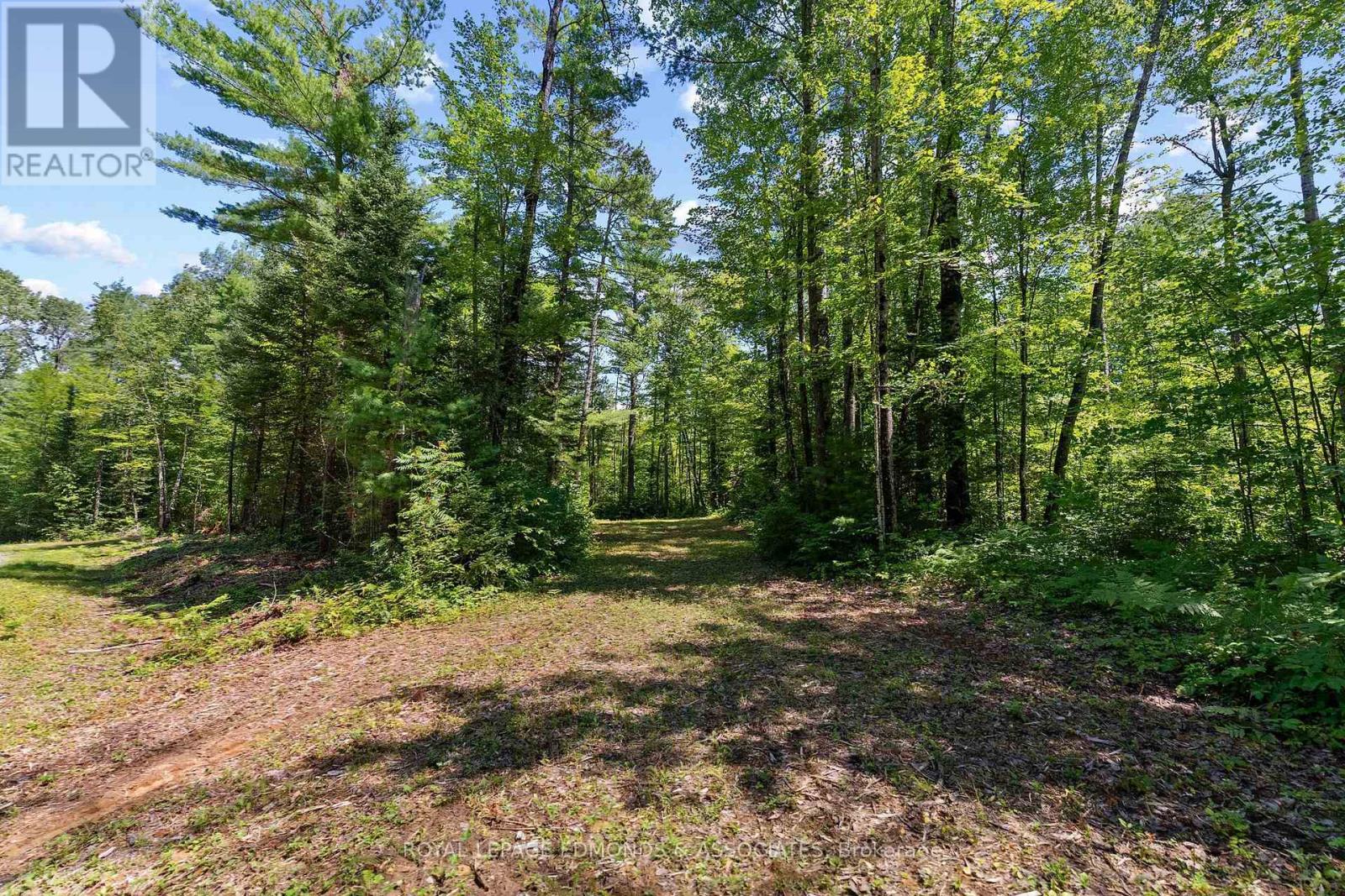 0000 Nangor Trail, Whitewater Region, Ontario  K0J 2L0 - Photo 14 - X12997216
