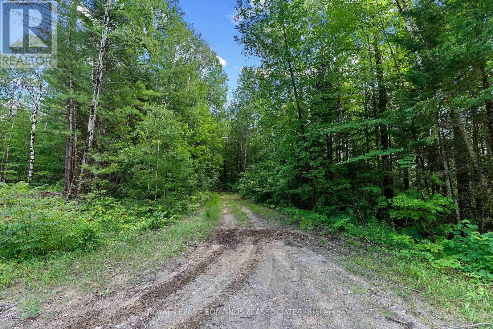 0000 Nangor Trail, Whitewater Region, Ontario  K0J 2L0 - Photo 12 - X12997216