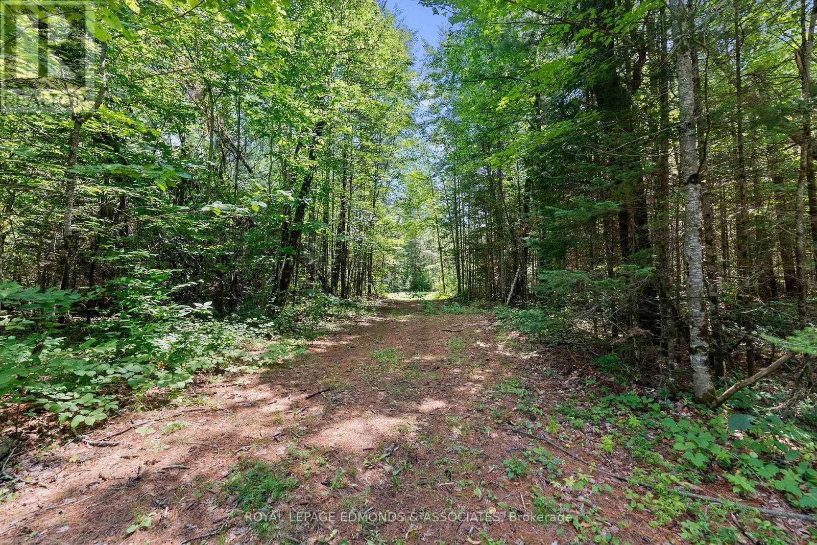 0000 Nangor Trail, Whitewater Region, Ontario  K0J 2L0 - Photo 2 - X12997216