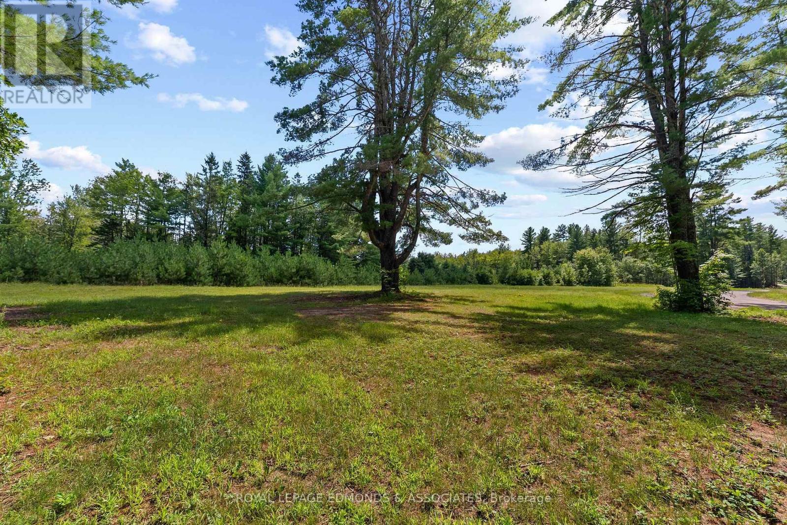 0000 Nangor Trail, Whitewater Region, Ontario  K0J 2L0 - Photo 5 - X12997216