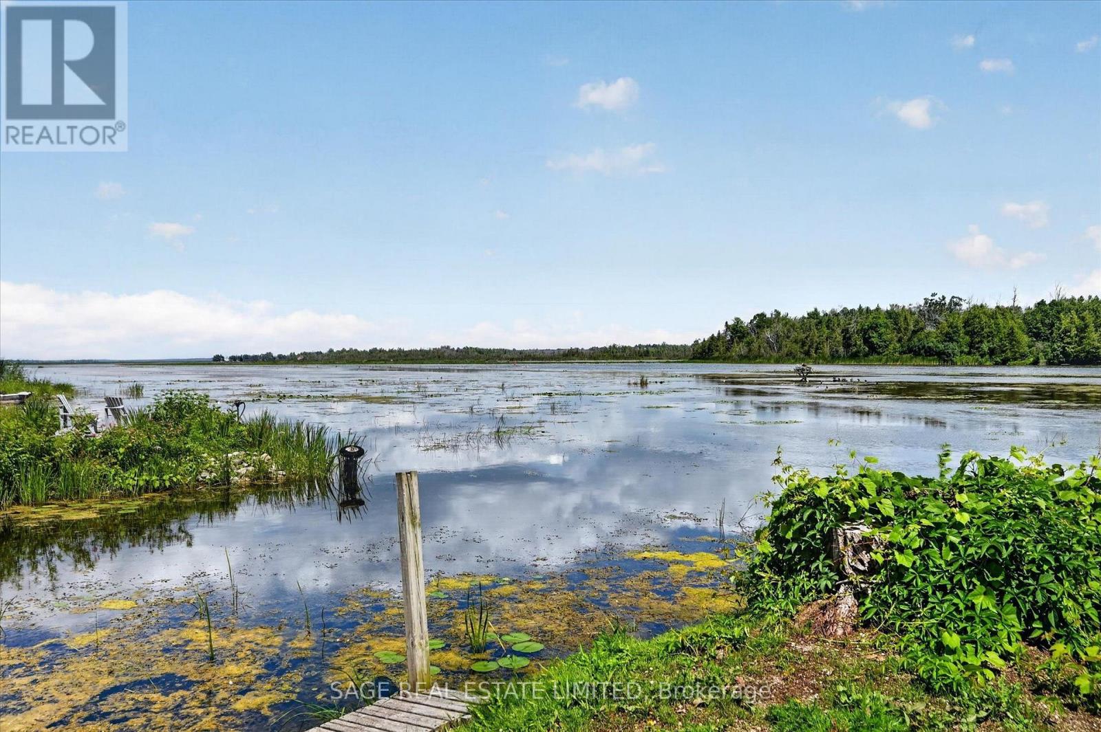 39 Riverside Drive, Kawartha Lakes, Ontario  K9V 0H6 - Photo 48 - X13643712