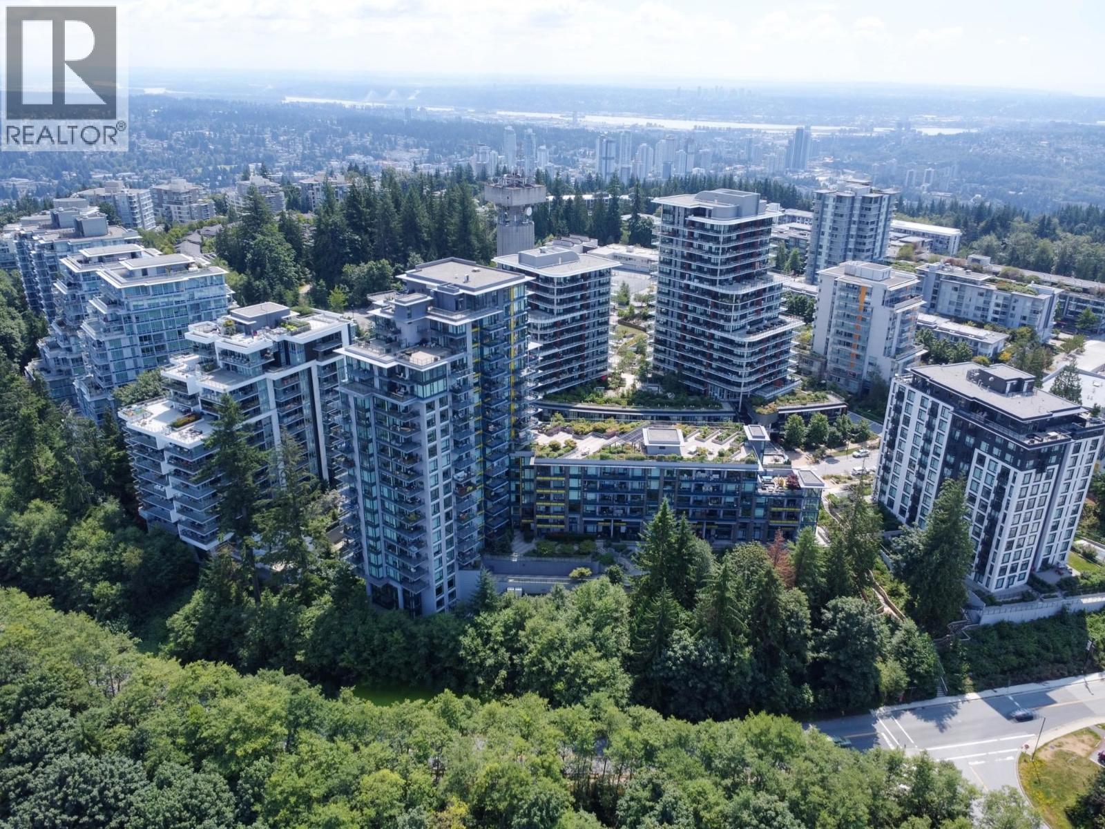 909 8850 University Crescent, Burnaby, British Columbia  V5A 0C8 - Photo 38 - R3148729