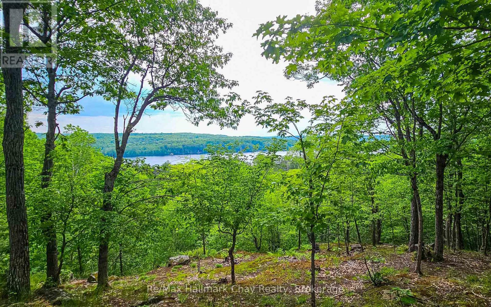 1497 Fox Point Road, Lake Of Bays, Ontario  P0A 1H0 - Photo 34 - X13459608