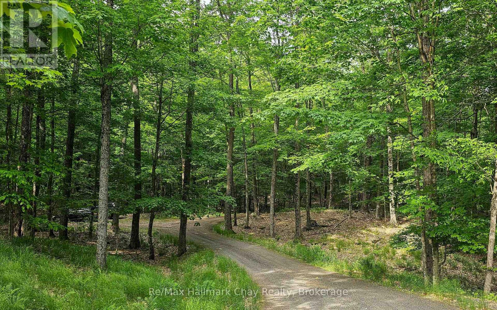 1497 Fox Point Road, Lake Of Bays, Ontario  P0A 1H0 - Photo 35 - X13459608