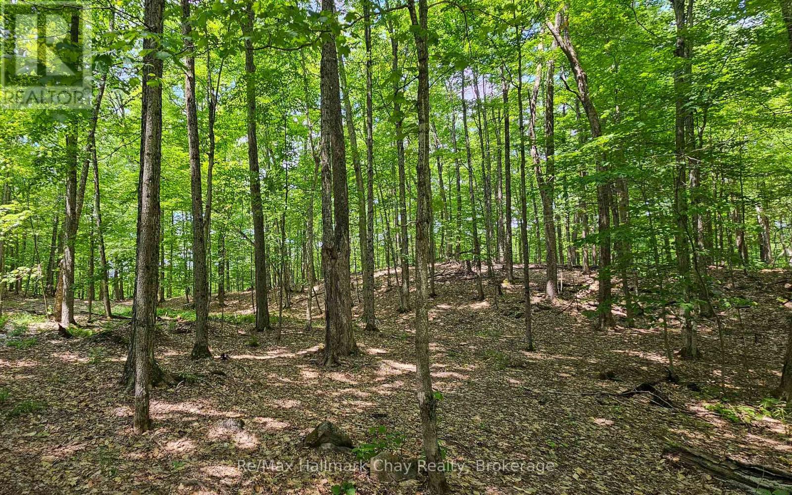 1497 Fox Point Road, Lake Of Bays, Ontario  P0A 1H0 - Photo 37 - X13459608