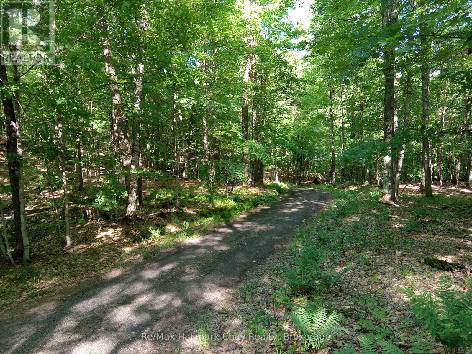 1497 Fox Point Road, Lake Of Bays, Ontario  P0A 1H0 - Photo 42 - X13459608