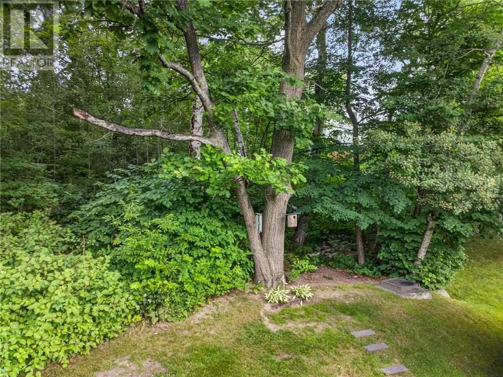 79 Manor Road, Sudbury, Ontario  P3B 3K9 - Photo 77 - 2129646