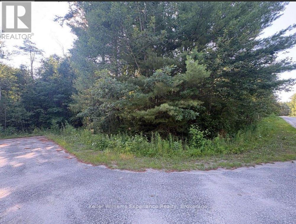 Pt 7 On Pl 51r32735 Rue Karola, Tiny, Ontario  L0L 2J0 - Photo 2 - S13644478