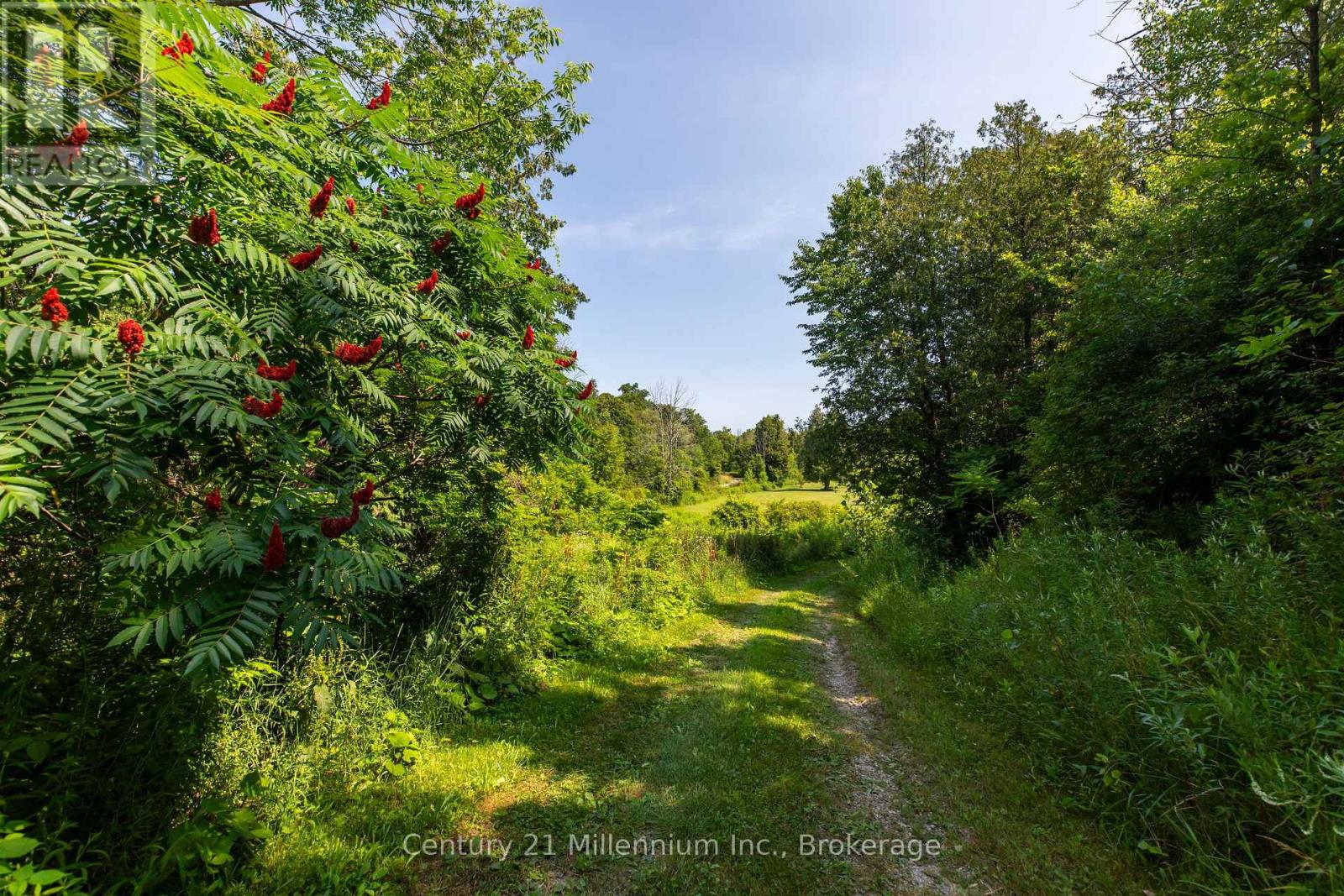 36826 Dungannon Road, Ashfield-Colborne-Wawanosh, Ontario  N0M 1R0 - Photo 33 - X13644528