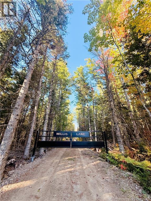 731 Pointe Aux Carr Road, Napan, New Brunswick  E1N 4X8 - Photo 26 - NB142700