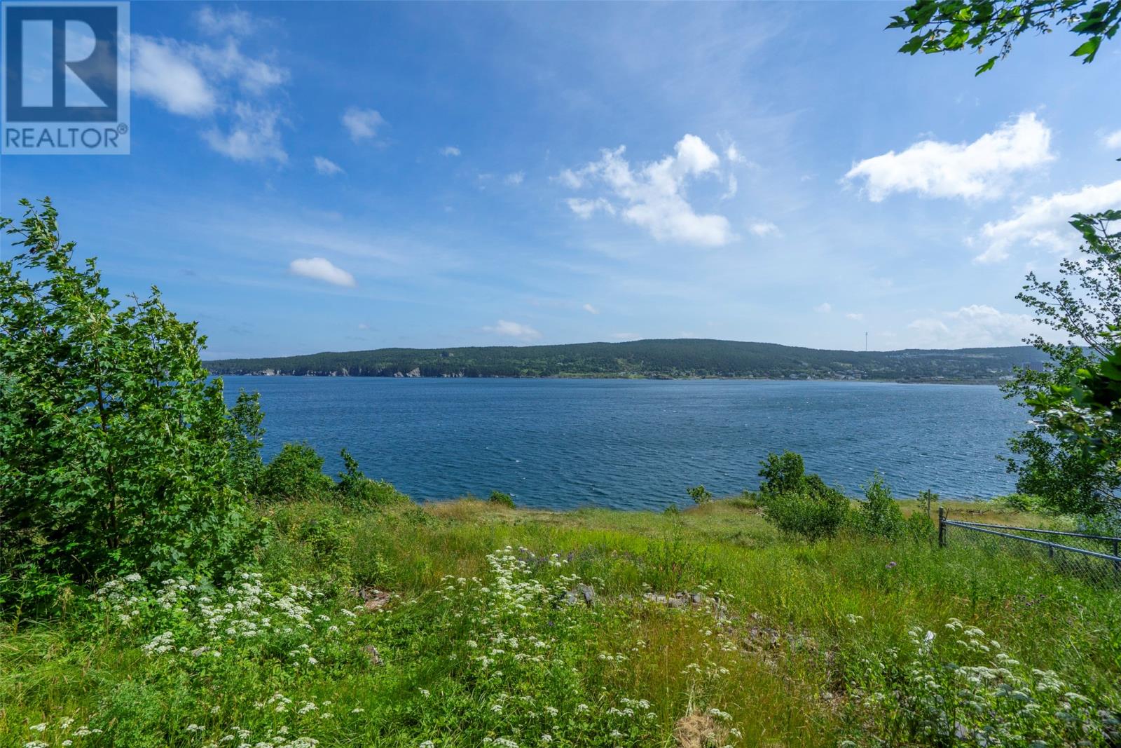 109 Water Street Unit#a, Carbonear, Newfoundland & Labrador  A1Y 1A4 - Photo 10 - 1301218