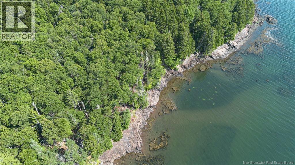 Fiander Road, Bocabec, New Brunswick  E5B 3M3 - Photo 10 - NB145368