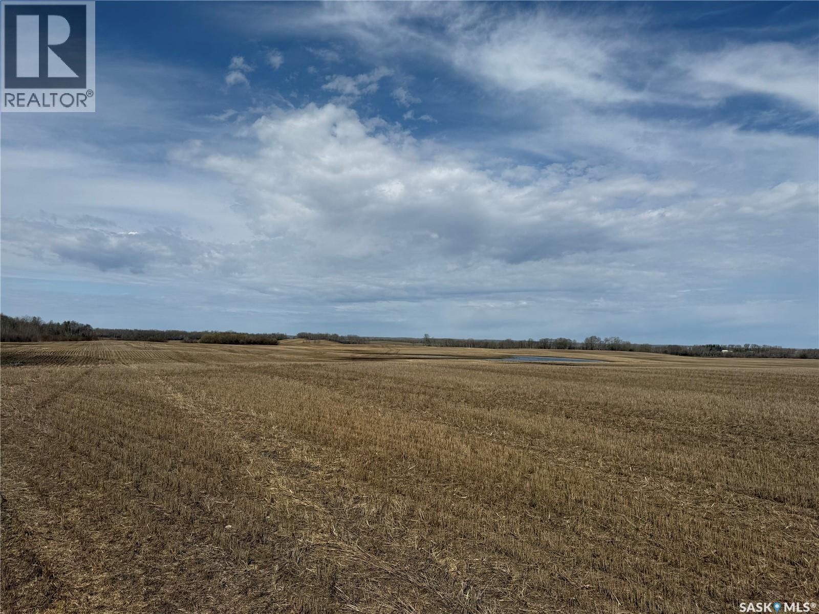 Pt S1/2 Of 09-49-08-W3, Spiritwood Rm No. 496, Saskatchewan  S0J 2G0 - Photo 72 - SK035577