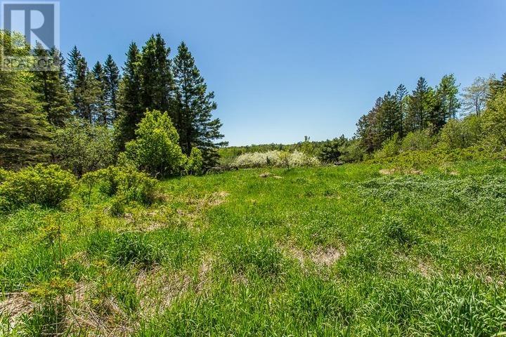 2521 U Line Rd, Hilton Township, St. Joseph Island, Ontario  P0R 1G0 - Photo 30 - SM261335