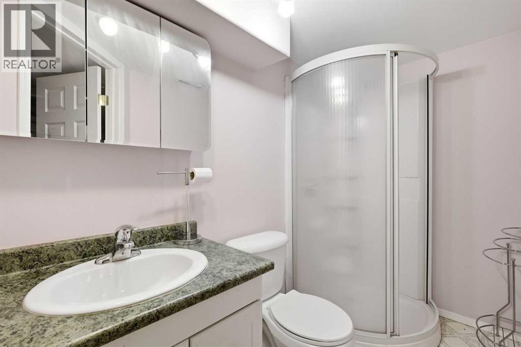 806 Radford Road NE, Calgary, Alberta  T2E 5G2 - Photo 14 - A2328343