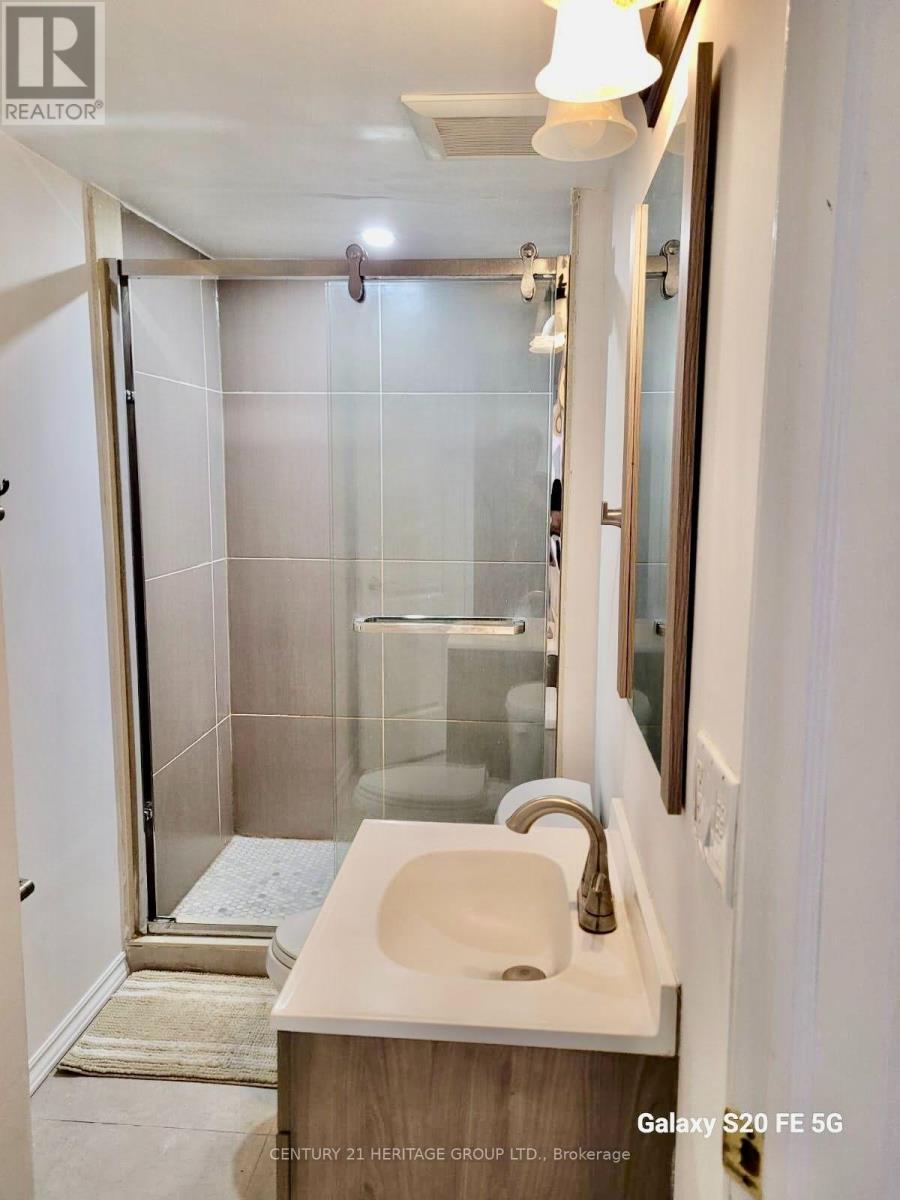 Bsmt - 408 Osiris Drive, Richmond Hill (Crosby), Ontario  L4C 2P9 - Photo 11 - N13644938