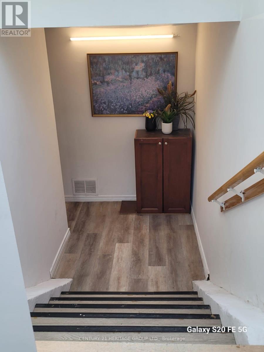 Bsmt - 408 Osiris Drive, Richmond Hill (Crosby), Ontario  L4C 2P9 - Photo 2 - N13644938