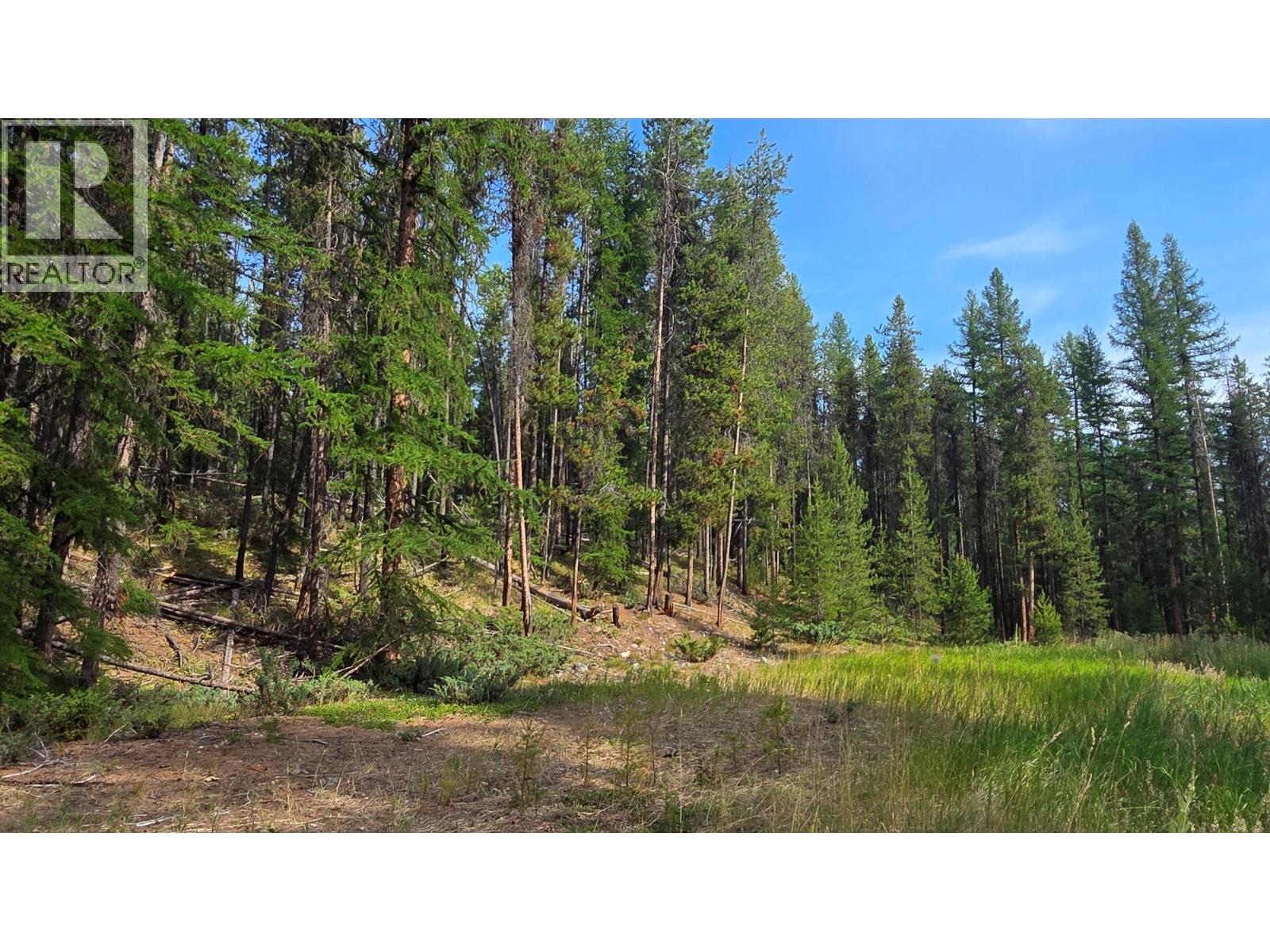 8025 Sorensen Road, Kimberley, British Columbia V1A 3M3 - Photo 20 - 10388956