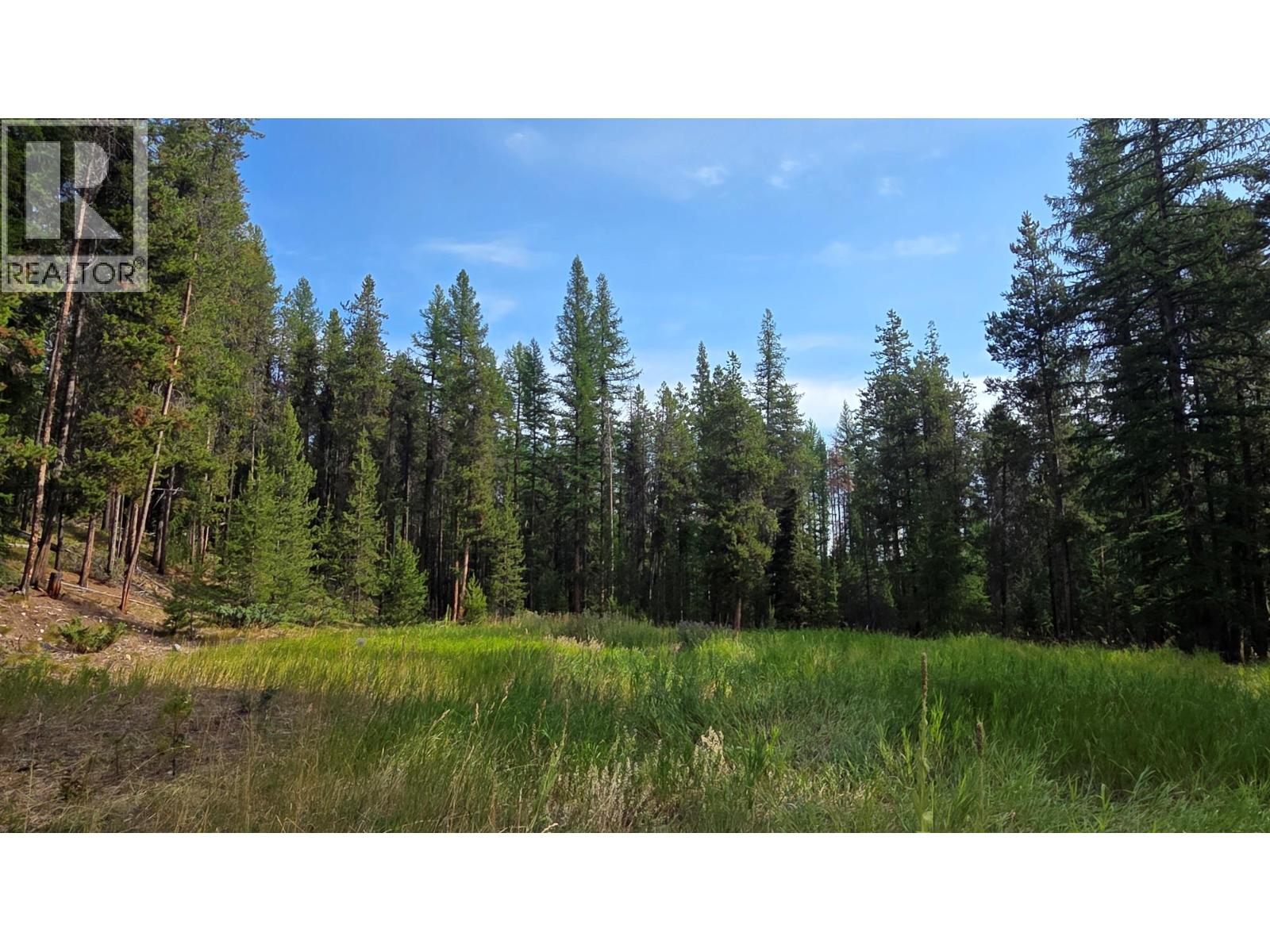 8025 Sorensen Road, Kimberley, British Columbia V1A 3M3 - Photo 21 - 10388956