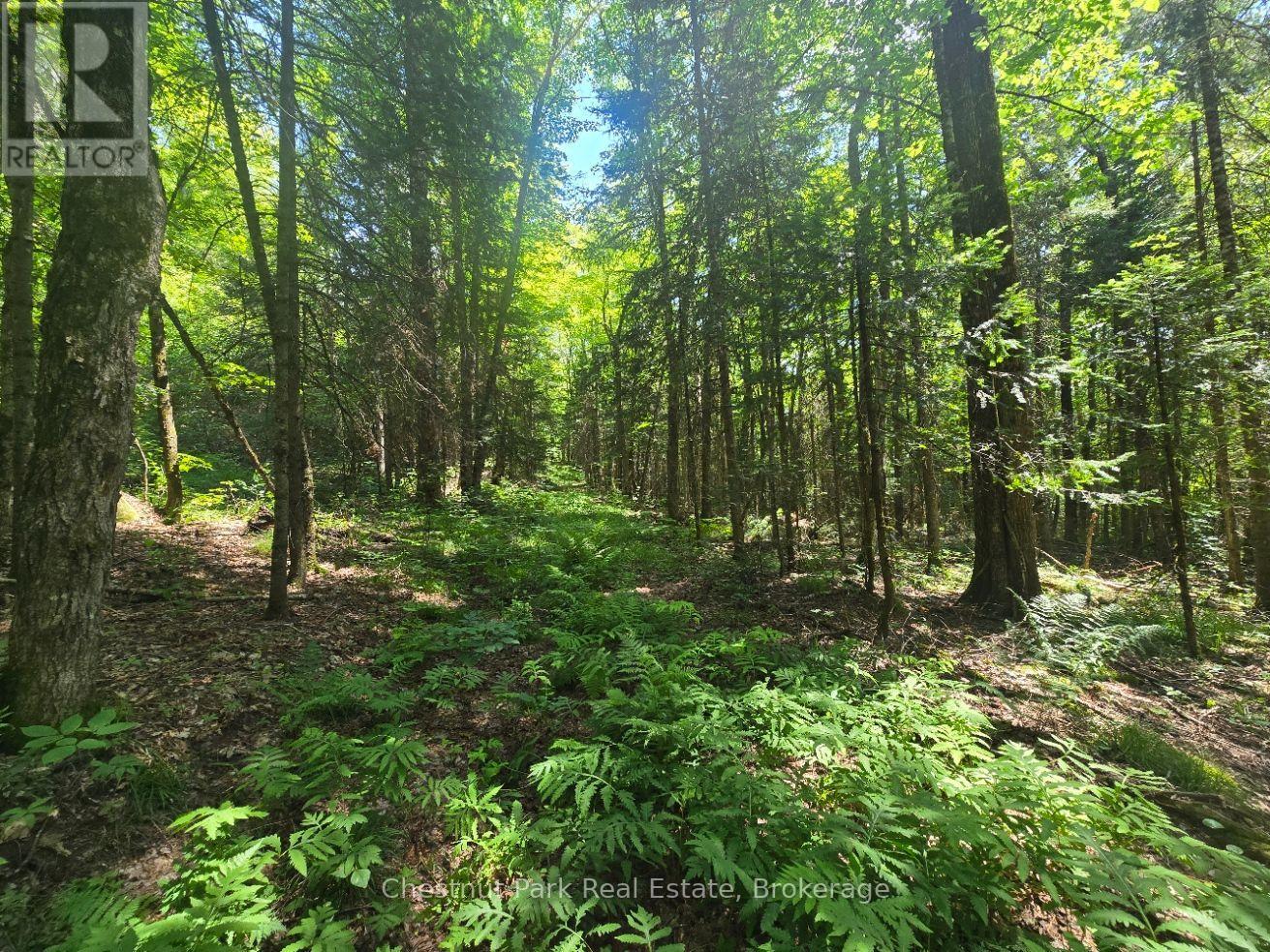 1630 Midlothian Road, Ryerson, Ontario  P0A 1C0 - Photo 10 - X13645314