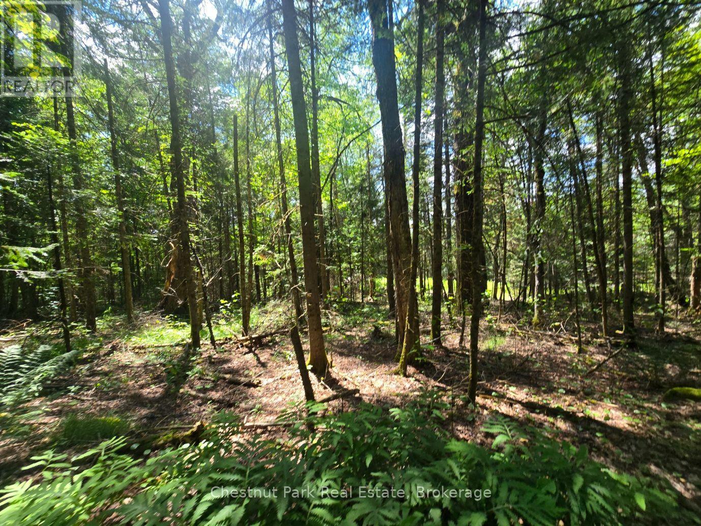 1630 Midlothian Road, Ryerson, Ontario  P0A 1C0 - Photo 11 - X13645314