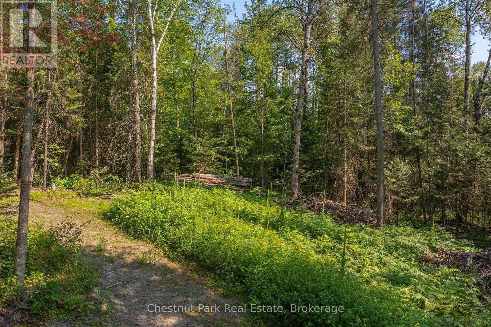 1630 Midlothian Road, Ryerson, Ontario  P0A 1C0 - Photo 12 - X13645314