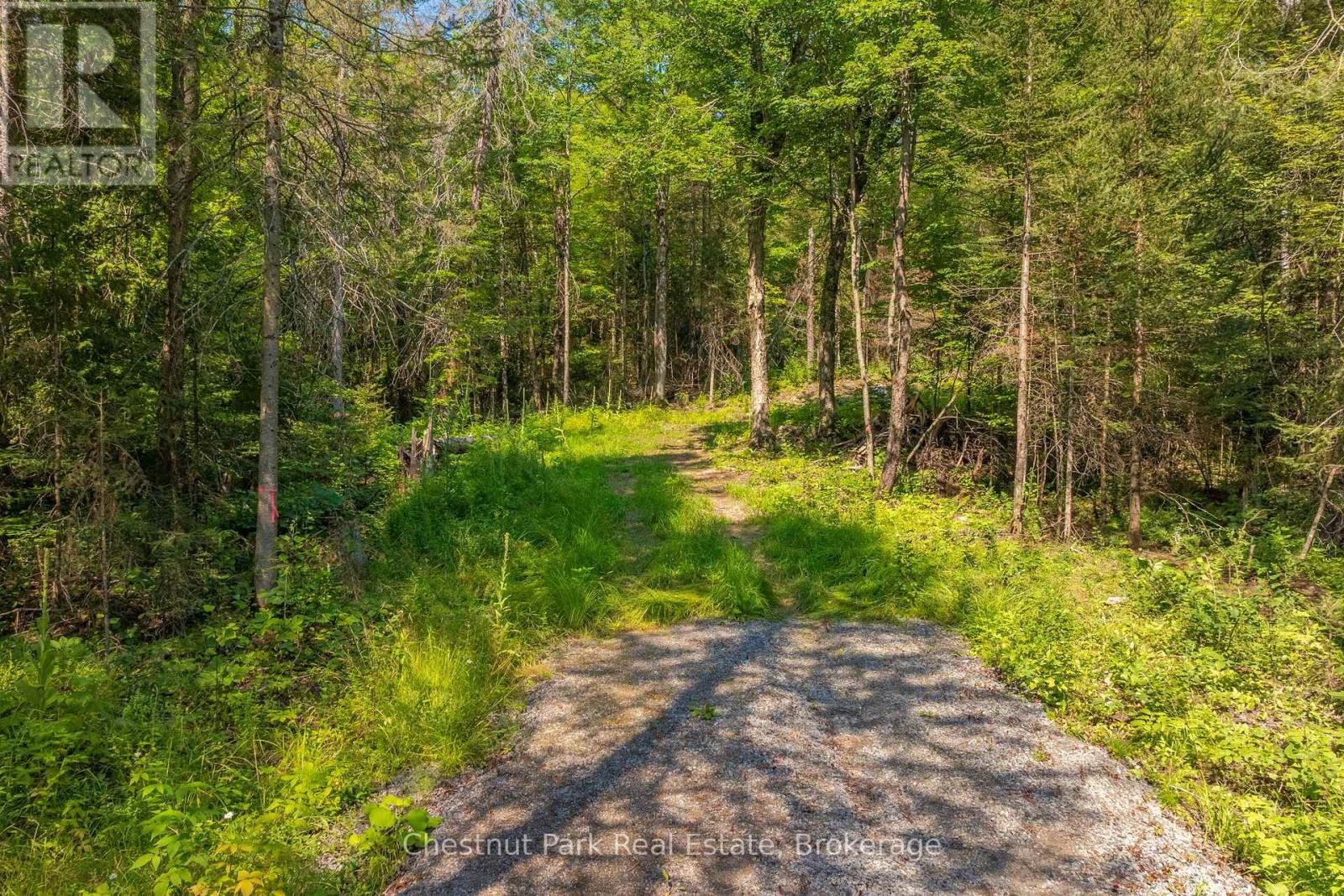 1630 Midlothian Road, Ryerson, Ontario  P0A 1C0 - Photo 13 - X13645314