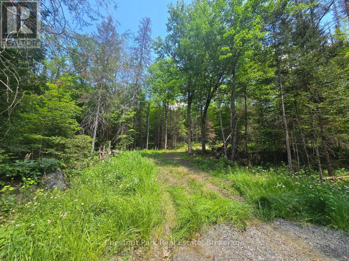 1630 Midlothian Road, Ryerson, Ontario  P0A 1C0 - Photo 2 - X13645314