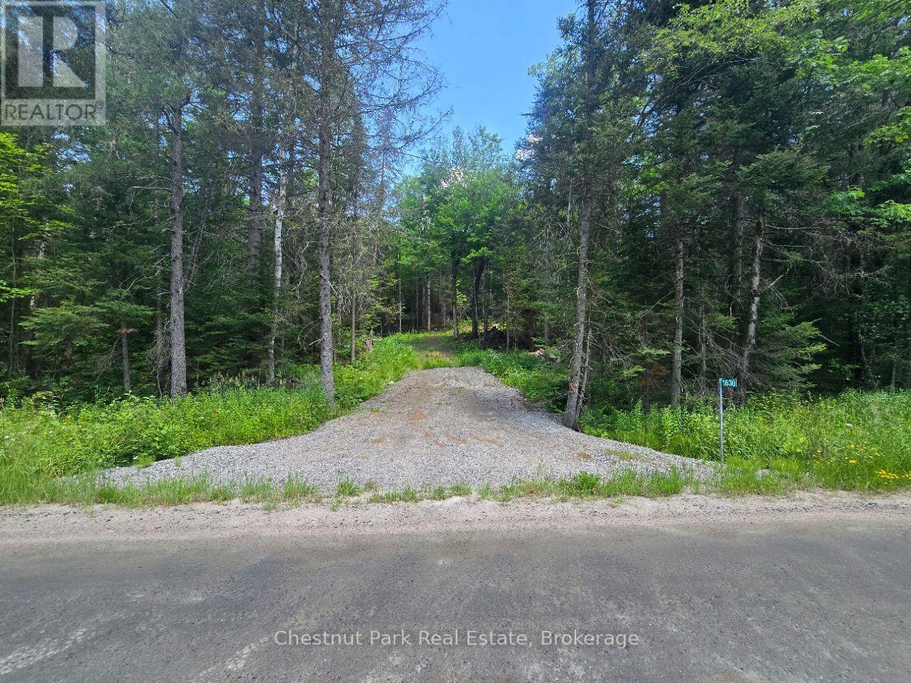 1630 Midlothian Road, Ryerson, Ontario  P0A 1C0 - Photo 3 - X13645314