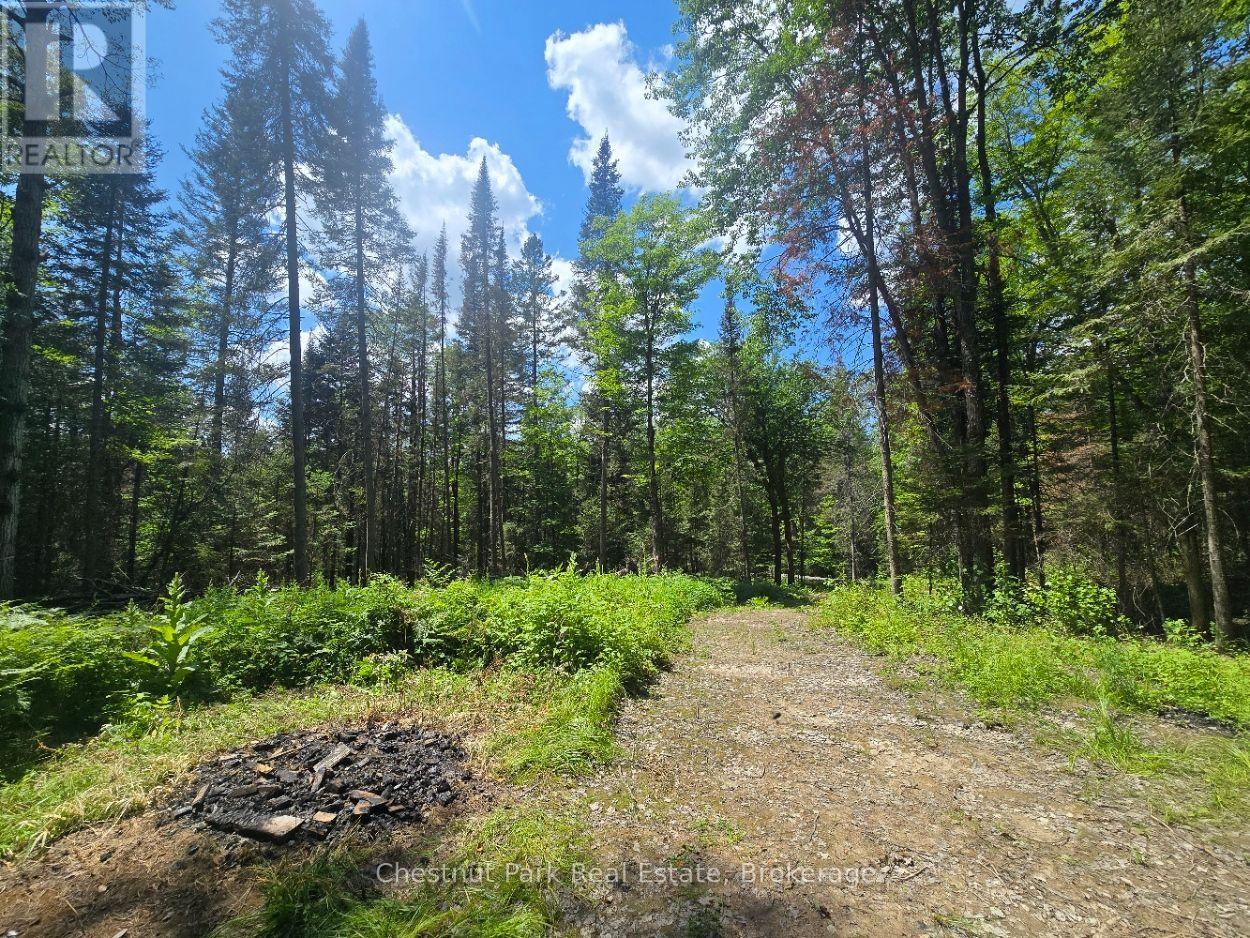 1630 Midlothian Road, Ryerson, Ontario  P0A 1C0 - Photo 4 - X13645314