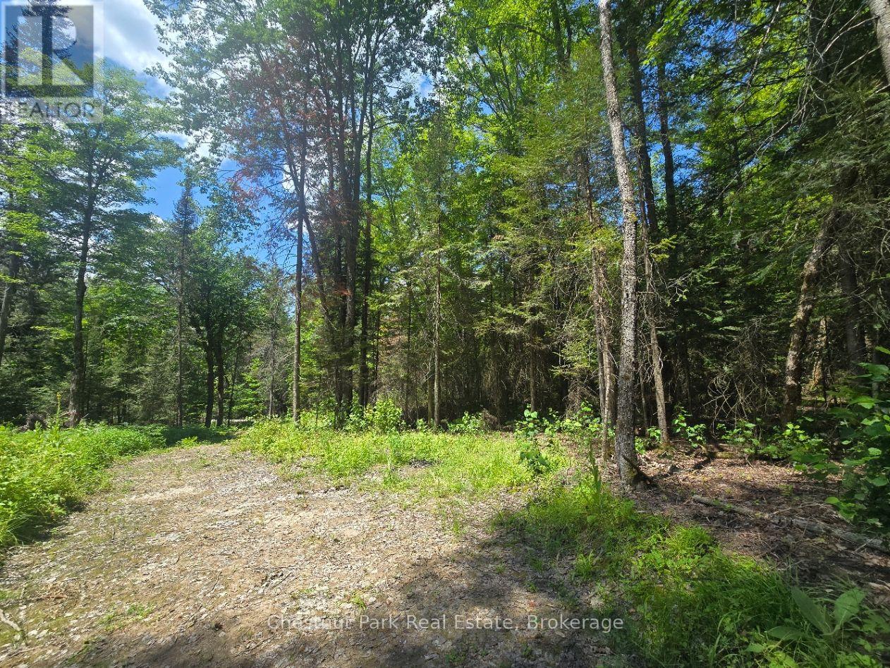 1630 Midlothian Road, Ryerson, Ontario  P0A 1C0 - Photo 5 - X13645314