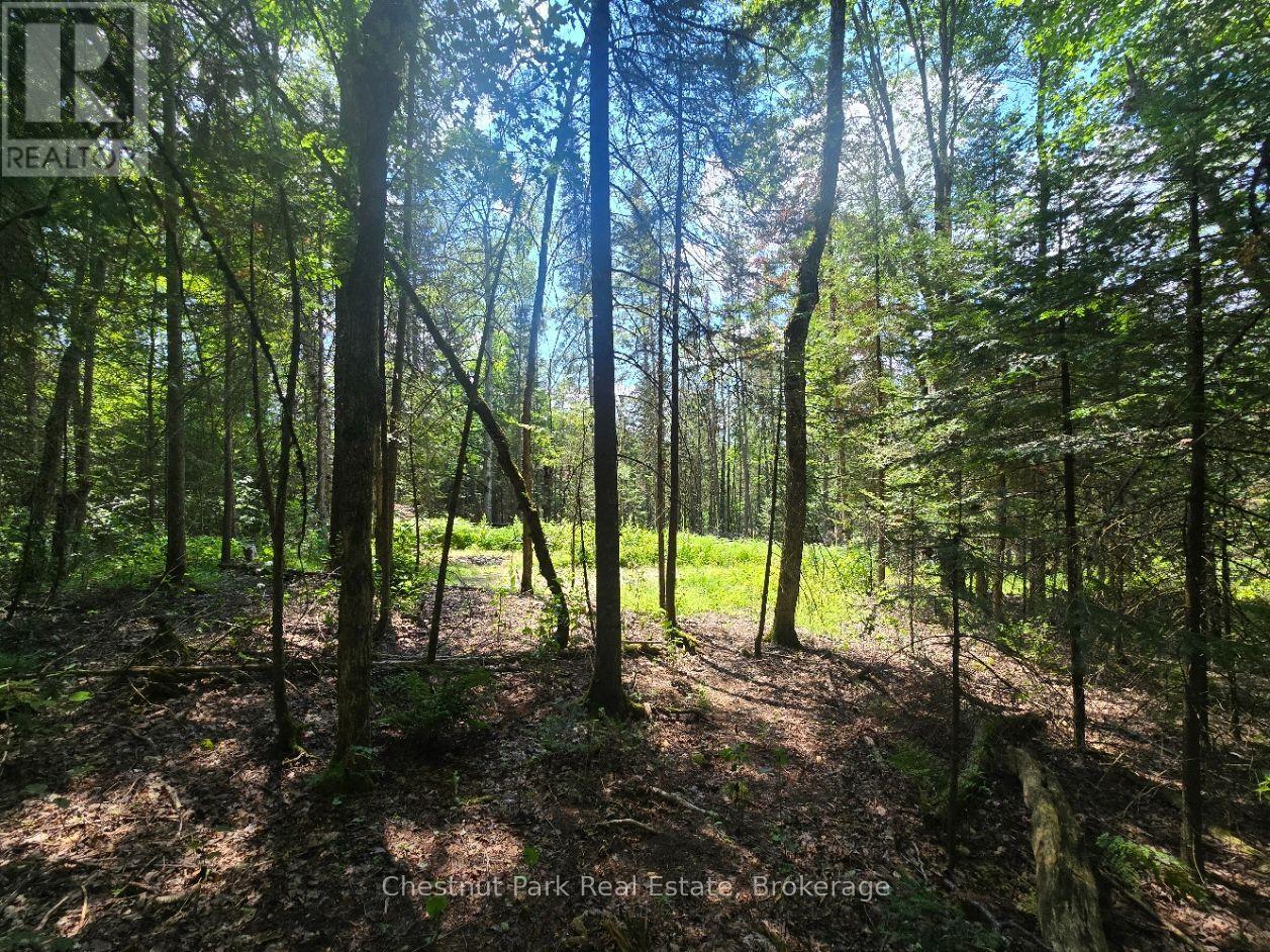 1630 Midlothian Road, Ryerson, Ontario  P0A 1C0 - Photo 6 - X13645314