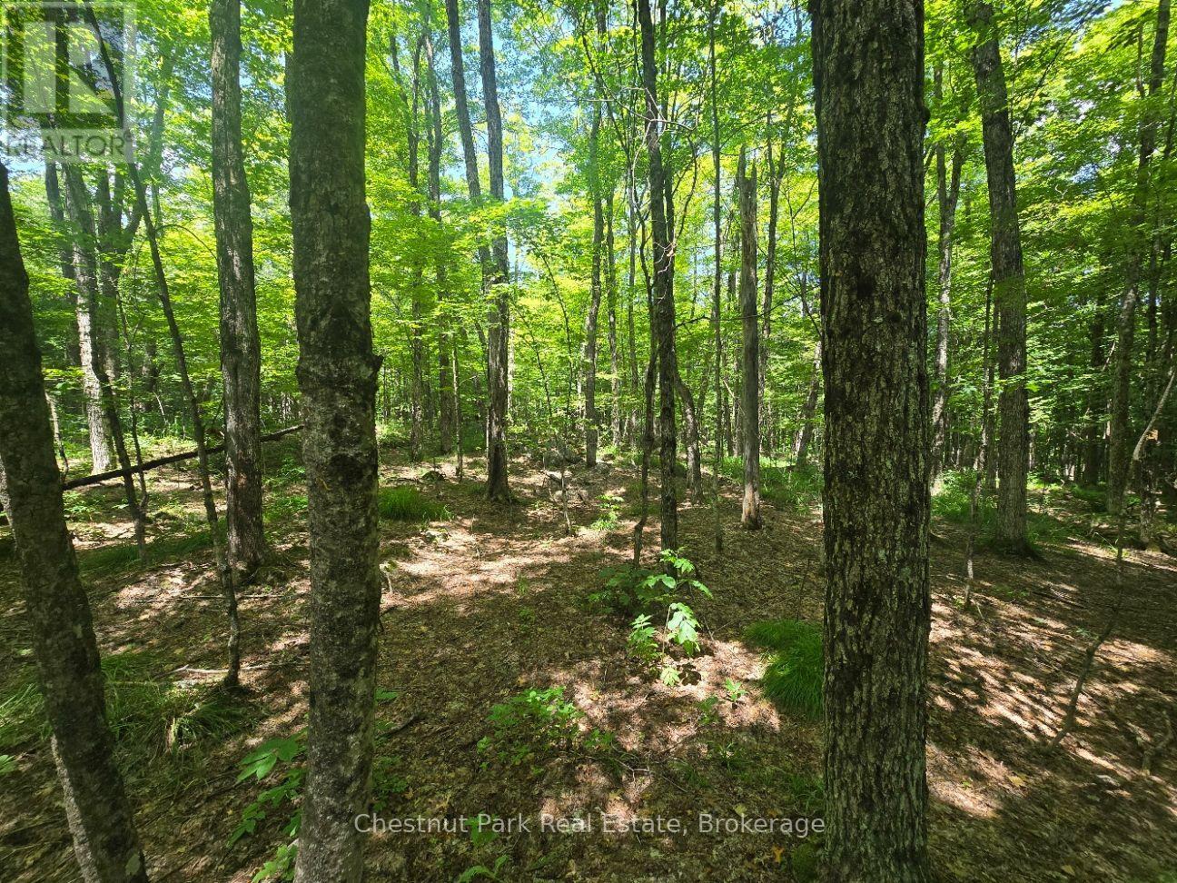 1630 Midlothian Road, Ryerson, Ontario  P0A 1C0 - Photo 7 - X13645314