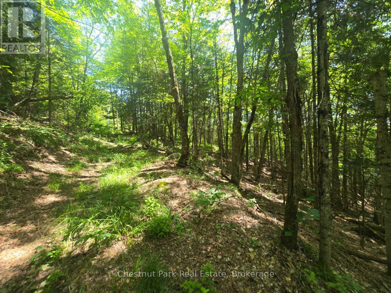 1630 Midlothian Road, Ryerson, Ontario  P0A 1C0 - Photo 8 - X13645314