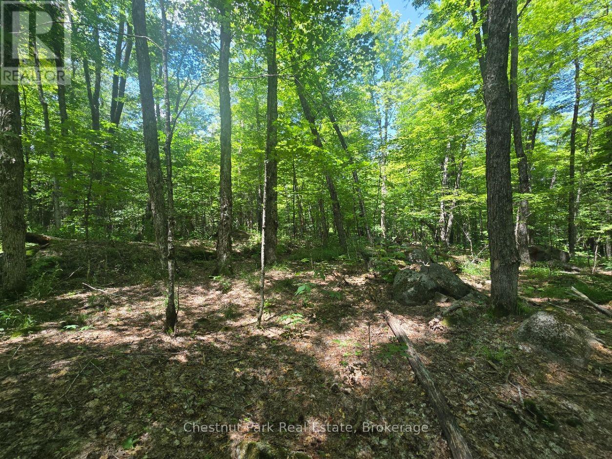 1630 Midlothian Road, Ryerson, Ontario  P0A 1C0 - Photo 9 - X13645314