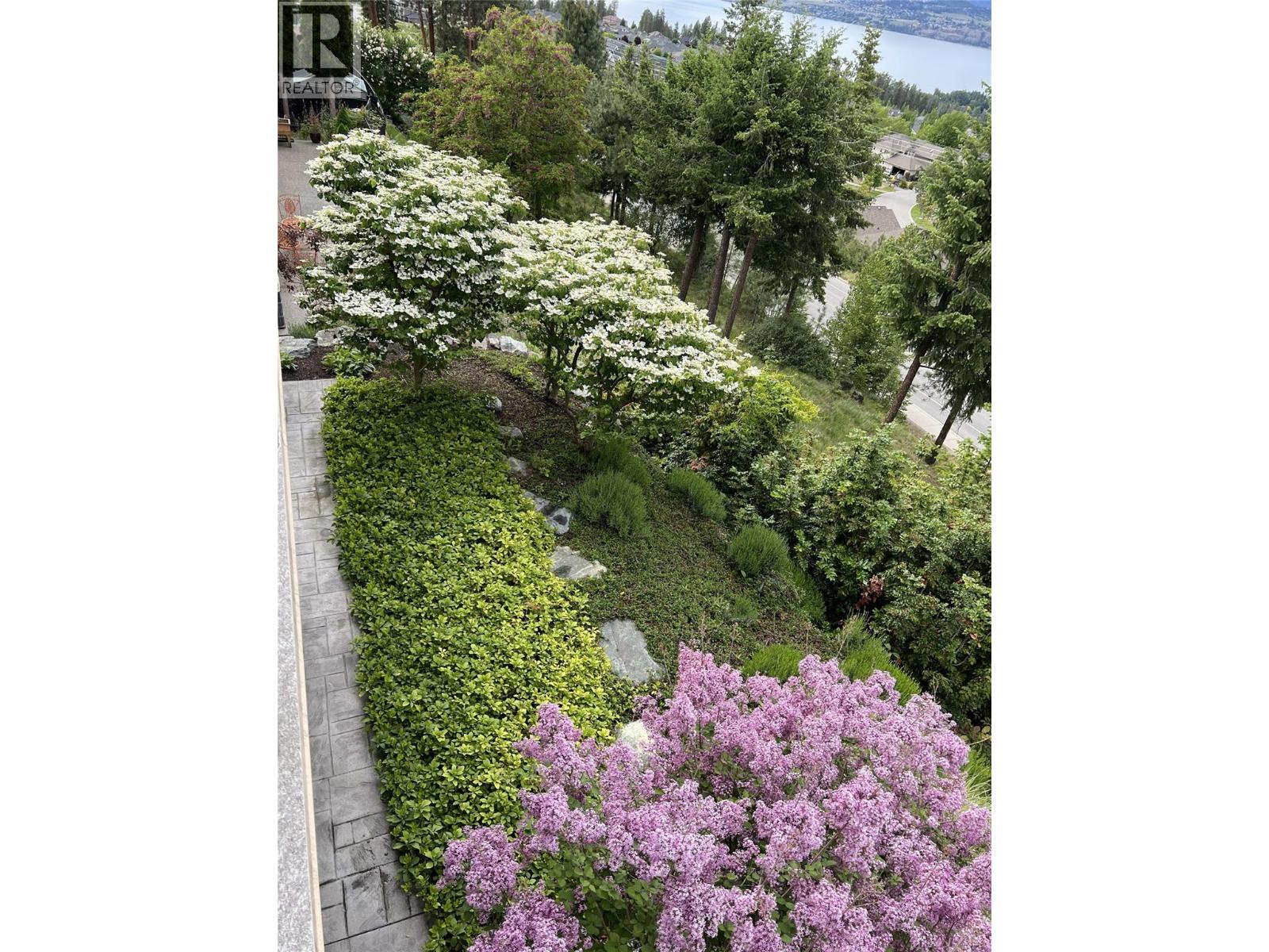 picture 33