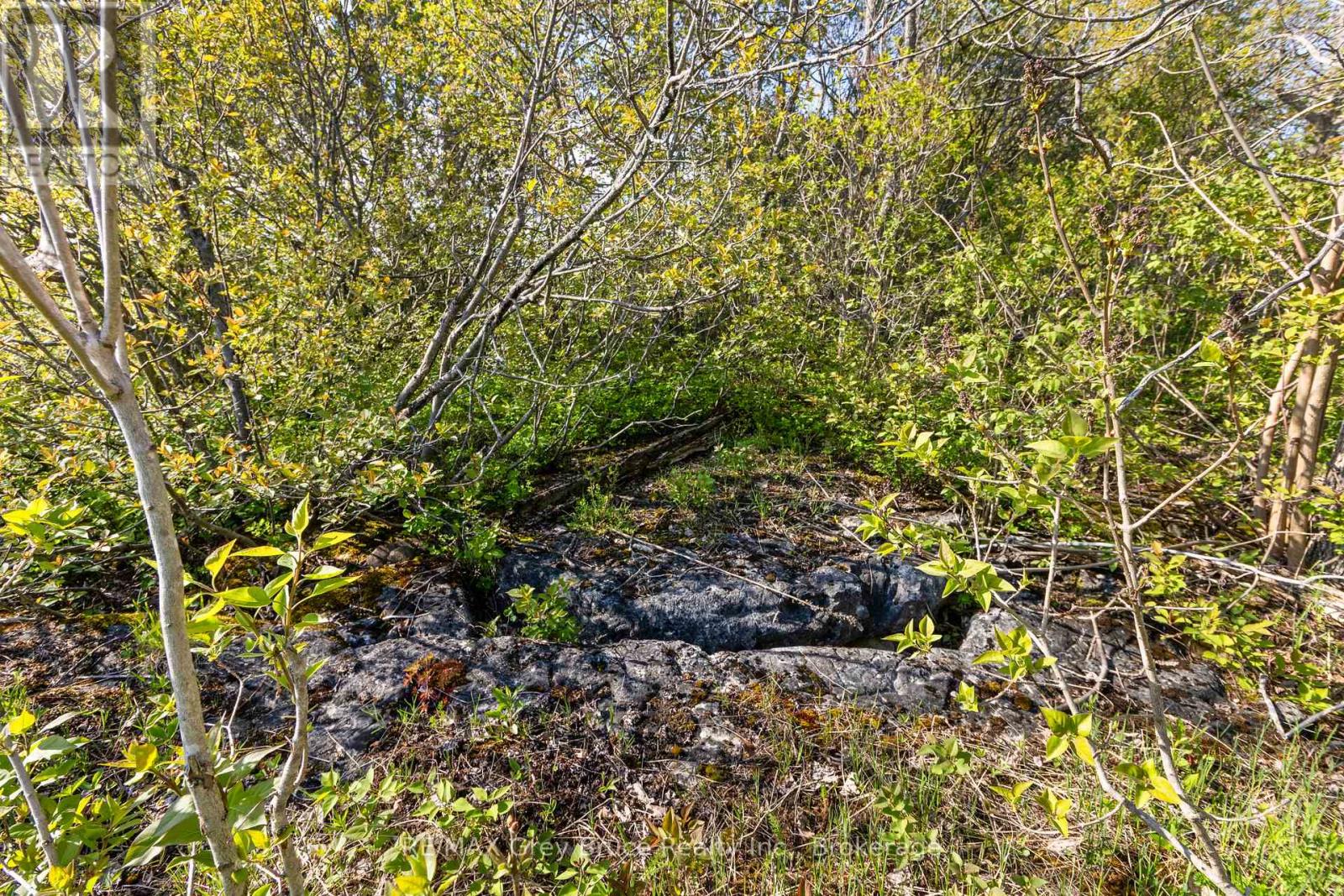 Part 1 Cape Chin North Road, Northern Bruce Peninsula, Ontario  N0H 1W0 - Photo 23 - X13114910