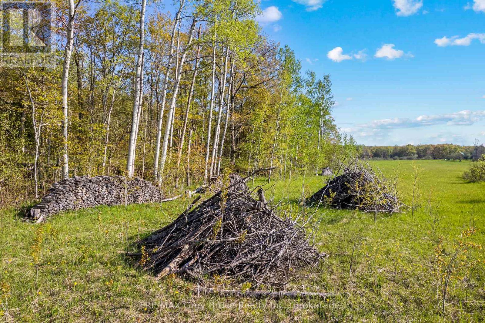 Part 1 Cape Chin North Road, Northern Bruce Peninsula, Ontario  N0H 1W0 - Photo 30 - X13114910