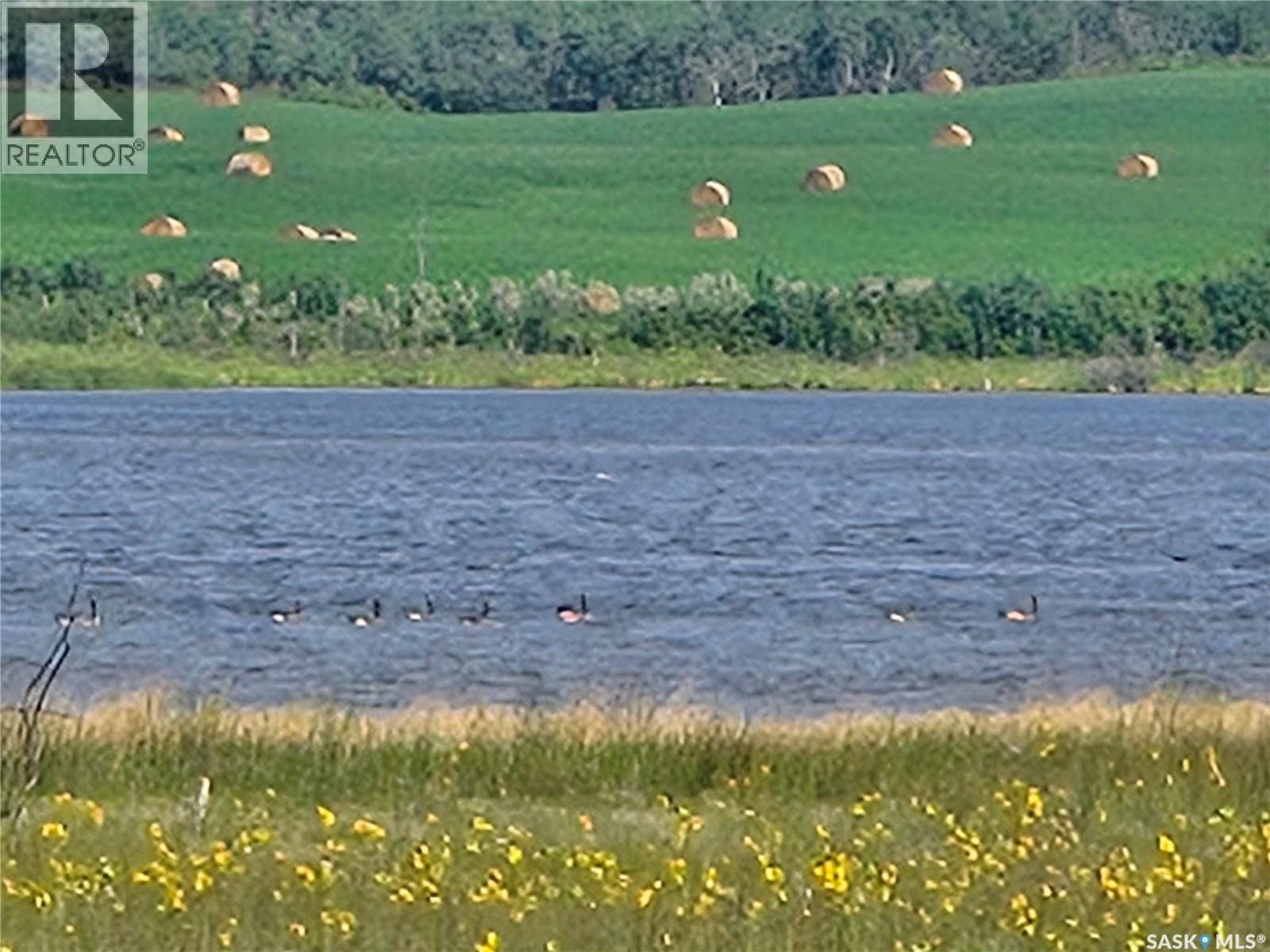 Laroque Land, Duck Lake Rm No. 463, Saskatchewan  S0K 1J0 - Photo 6 - SK044319