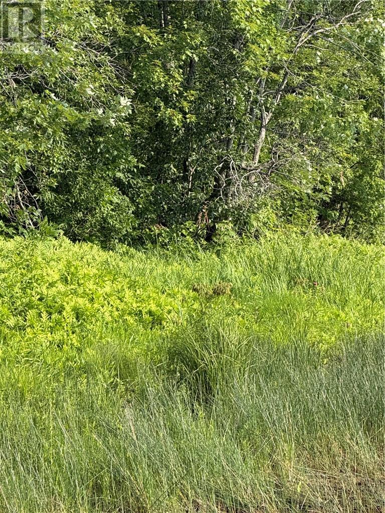Lot 3 Island Road, Greater Sudbury, Ontario  P0M 3E0 - Photo 6 - 2129661