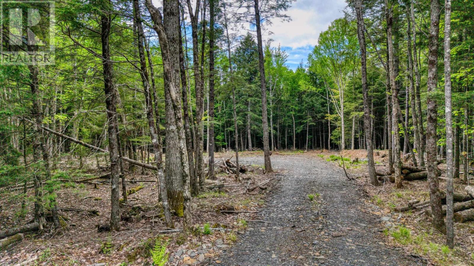 Lot 64c Hirtle Road, Maitland, Nova Scotia B0J 1E0 - Photo 11 - 202605873