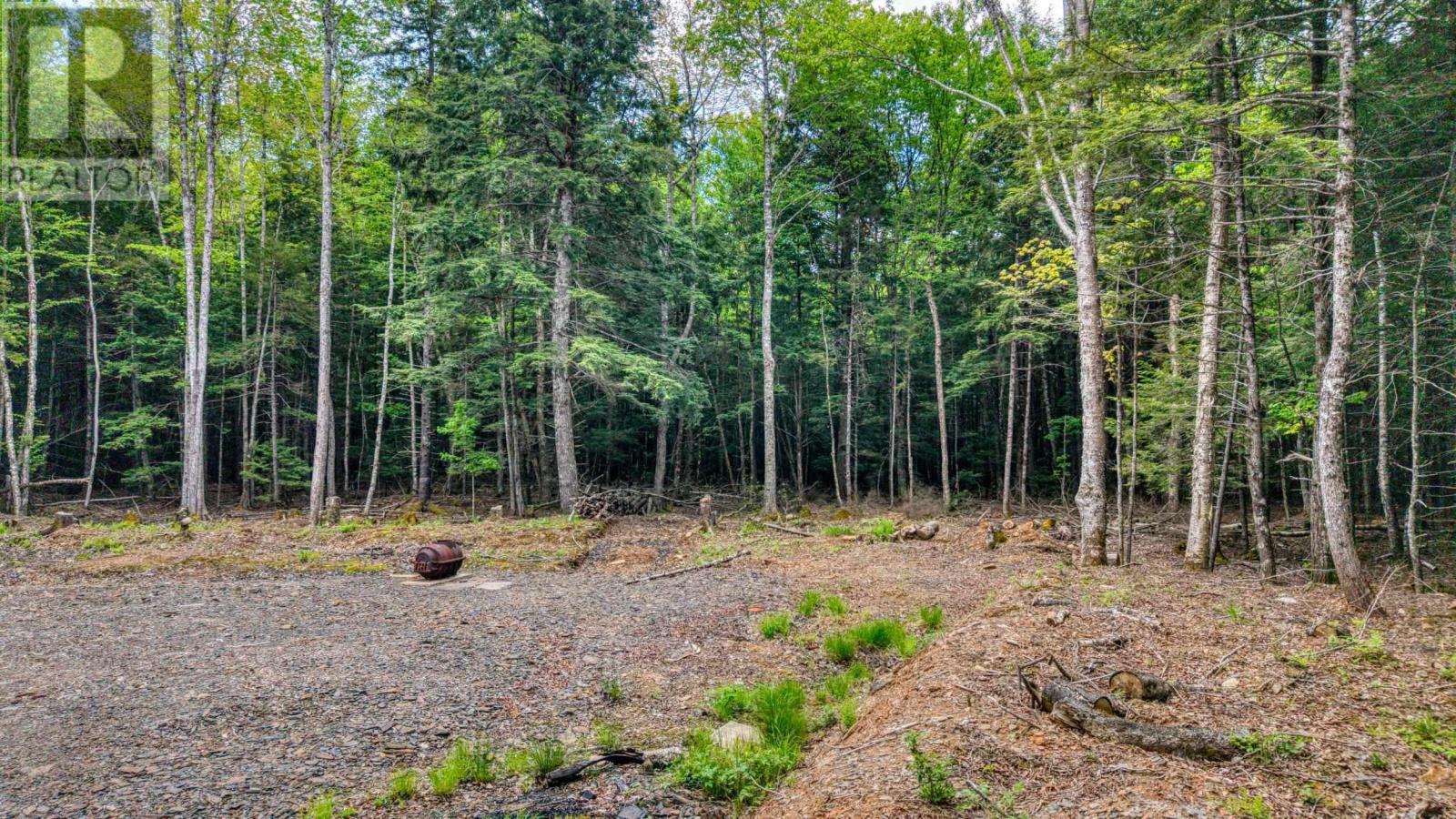 Lot 64c Hirtle Road, Maitland, Nova Scotia B0J 1E0 - Photo 14 - 202605873