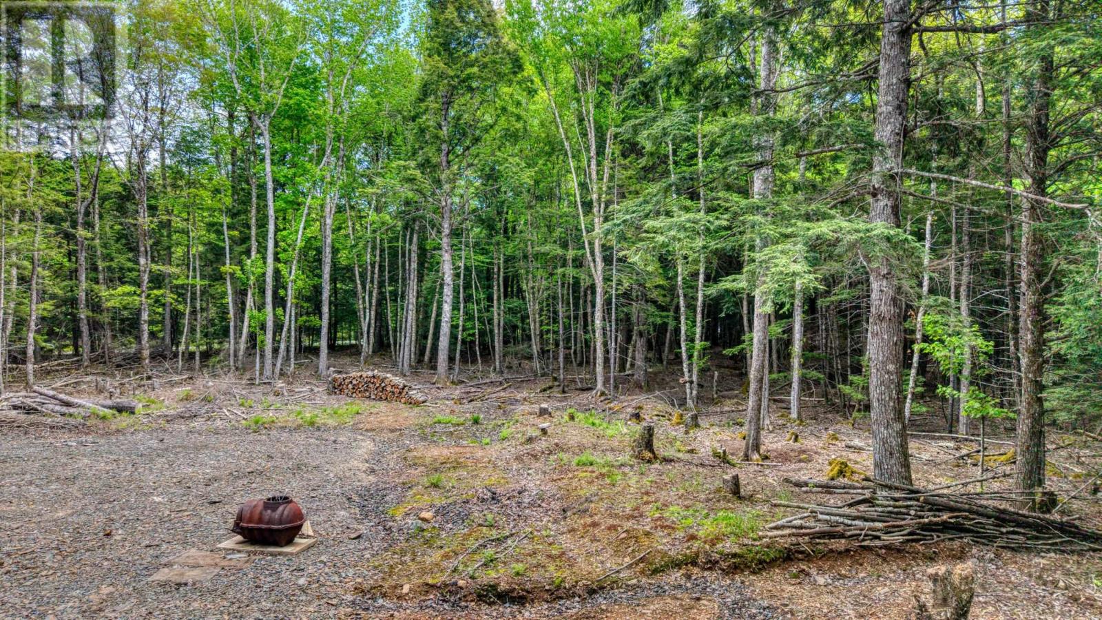 Lot 64c Hirtle Road, Maitland, Nova Scotia B0J 1E0 - Photo 18 - 202605873